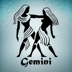 r1705 gemini noir T