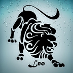 r1707 leo noir T
