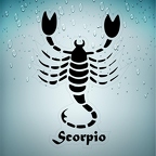 r1710 scorpio noir T
