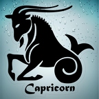 r1712 capricorn noir T