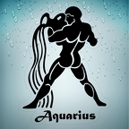 r1713 aquarius noir T
