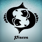 r1714 pisces noir T