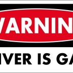 r1747 driver gay