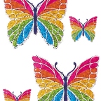 r1764 papillon arc en ciel
