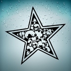 r1776 star skull n T