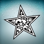 r1775 star skull n&amp;b