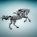 r1778 horse tribal n