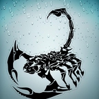 r1734 scorpion tribal n