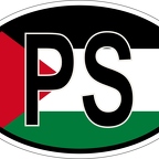r7174 Oval flag Palestine