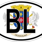 r7197 Oval flag St-Barthelemy