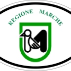 r7295 oval flag marches