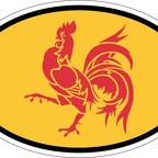 r7304 oval flag wallon