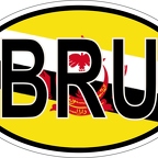 r7036 Oval flag Brunei