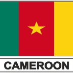 r7569 Flag EC Cameroun