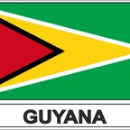 r7620 Flag EC Guyana
