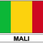 r7662 Flag EC Mali