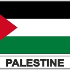 r7695 Flag EC Palestine