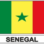 r7728 Flag EC Senegal