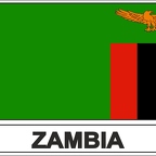 r7771 Flag EC Zambie