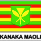 r7788 Flag EC kanakamoli