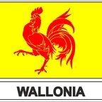 r7819 Flag EC wallon