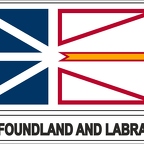 r7832 Flag EC labrador