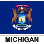r7861 Flag EC michigan