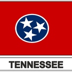 r7876 Flag EC tennessee