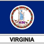 r7880 Flag EC virginie