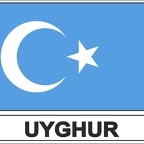 r7898 Flag EC ouighour
