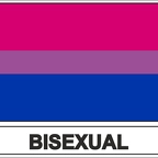 r7933 Flag EC bisexual