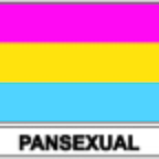 r7934 Flag EC pansexual