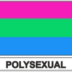 r7937 Flag EC polysexual