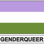 r7938 Flag EC genderqueer