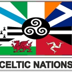 r7941 Flag EC celticnation