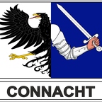 r7958 Flag EC connacht