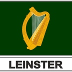 r7959 Flag EC leinster
