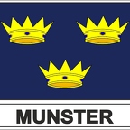 r7960 Flag EC munster