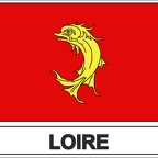 r7981 Flag EC loire