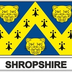 r8007 Flag EC shropshire