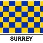 r8019 Flag EC surrey