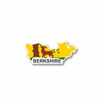 r7520 carte berkshire