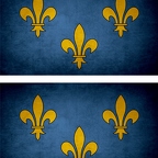 r9625 2x drapeau vintage fdl bleu