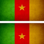 r9148 2x drapeau vintage Cameroun