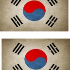 r9160 2x drapeau vintage Coree