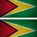 r9198 2x drapeau vintage Guyana