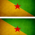 r9199 2x drapeau vintage Guyanefr