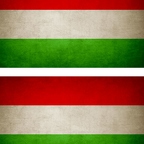 r9204 2x drapeau vintage Hongrie