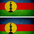 r9266 2x drapeau vintage Ncaledonie