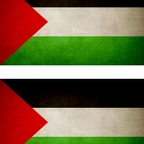 r9273 2x drapeau vintage Palestine